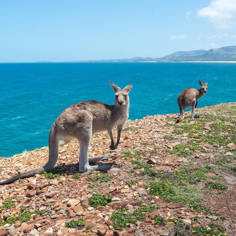 Resorts in Coffs Harbour