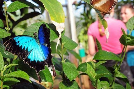 Butterfly House exterior